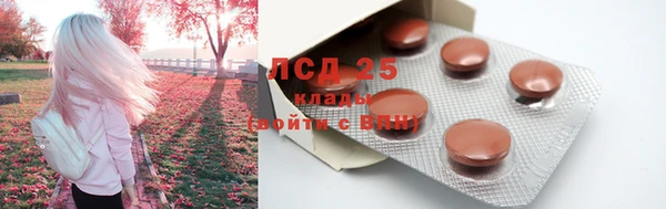 spice Лабытнанги