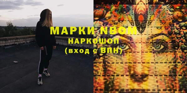 ECSTASY Семикаракорск