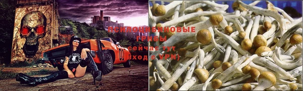 крисы Ладушкин