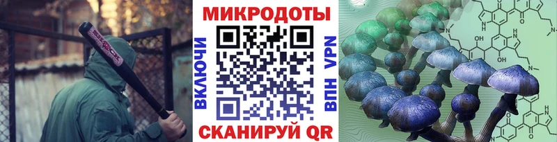 где купить   Сызрань  Галлюциногенные грибы прущие грибы 