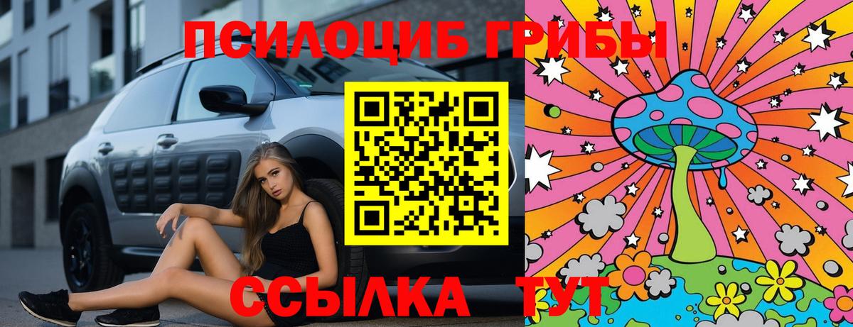 Псилоцибиновые грибы GOLDEN TEACHER  Вход с VPN  Сызрань 